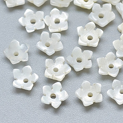 Shell perle bianche naturali, perle di madreperla, fiore, colore conchiglia, 6x6x2.5mm, Foro: 1 mm