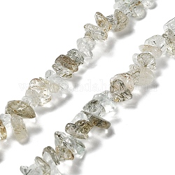 Chapelets de perles en quartz de rutile naturel, puce, 1~8x5~17x5~8mm, Trou: 0.9~1mm, 30.31~31.50'' (77~80 cm)