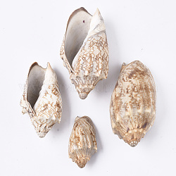 Perles de coquillage en spirale naturelle, perles non percées / sans trou, papayawhip, 45~80.5x23.5~40x20.5~33mm