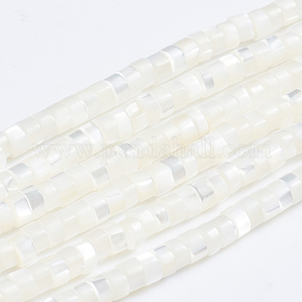 Fili di perle di conchiglia trochid naturale / trochus SSHEL-L016-13A-1