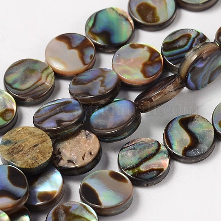 Natürliche Abalone Muschel / Paua Muschel Perlen Stränge SHS014-01-1