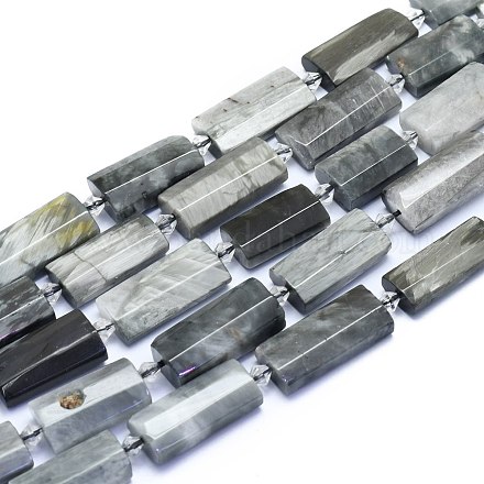 天然石のイーグルアイストーンビーズ連売り  長方形  多面カット  27~29x13~14x6~7mm  穴：1.5mm  約12個/連  14.96インチ（38cm） G-E530-16J-1
