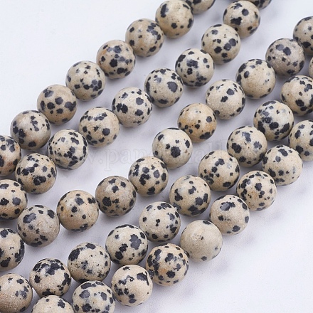 Dalmatien naturel jaspe brins pierre de perles G-R193-14-10mm-1