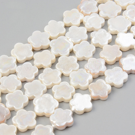 Electroplate Natural Freshwater Shell Beads Strands X-SHEL-T017-08-1