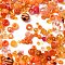 Opaque & Transparent Acrylic Beads, Mixed Shapes, Orange, 3.5~42.5x3.5~47x3.5~18mm, Hole: 1.6~4.5mm