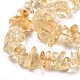 Natural Citrine Chip Beads Strands G-E271-100-3