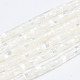 Chapelets de perles de coquille de trochid / trochus coquille SSHEL-L016-13A-1