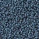 Perles rocailles miyuki rondes SEED-G007-RR0314-3