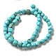 Natural Howlite Beads Strands G-C025-16-3