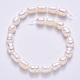 Natural Cultured Freshwater Pearl Beads Strands X-PEAR-S012-41B-3