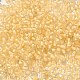 6/0 Transparent Glass Seed Beads SEED-F003-03A-14-3