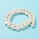 Natural Cultured Freshwater Pearl Beads Strands PEAR-Z002-20-3