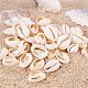 NBEADS 470 Pcs/500g Mixed Natural Spiral Cowrie Shell Beads Beach Seashells Cowrie Shell Charms for DIY Jewelry Making or Deco Crafts BSHE-NB0001-03-5