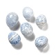 天然セレスタイトのホームディスプレイ装飾  卵形  42~56x34~42mm G-G986-04-1
