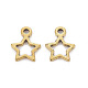 Tibetan Style Alloy Charms GLF10686Y-NF-2