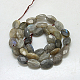 Natural Labradorite Beads Strands G-G214-15x20x6mm-10-2