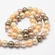 Cuentas perlas de concha de perla&nbsp;X-BSHE-L017-12-2