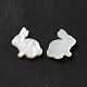Perles de coquillage blanc naturel BSHE-E026-08-3