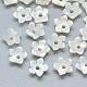 Perles de coquillage blanc naturel SSHEL-S260-014-1