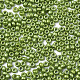 つや消しオペークガラスシードビーズ  機械刺繍に適合  焼き付け塗料  ラウンド  黄緑  2.5x1.5mm  穴：1mm  約20000個/袋 SEED-S042-06A-02-3