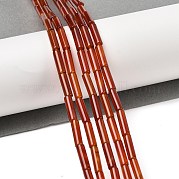 Бусины из натурального красного агата (окрашенные и нагретые) G-H087-H02-01B