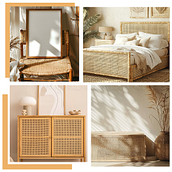 Osier en rotin naturel&nbsp;AJEW-WH0410-271C