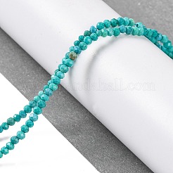 Fili di perline howlite naturale&nbsp;G-H025-03A-02