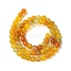 Chapelets de perles en agate veinée de dragon naturelle teinte&nbsp;G-C068-6mm-15