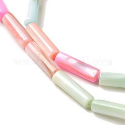 Brins de perles de coquillage d'eau douce naturelles teintes en couleur arc-en-ciel&nbsp;SHEL-G018-02B