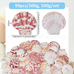 500g ornamenti in conchiglia naturale&nbsp;DJEW-FH0001-35A