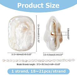 1 Strang natürliche Barockperle Keshi Perlenstränge&nbsp;PEAR-HS0001-02