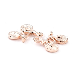 Aluminium Anhänger & Charms&nbsp;TIBEP-Q076-048RG-RS