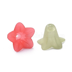 Mischfarbe transparent gefrostet Acryl Blumen Perlen&nbsp;X-PLF018