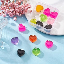 15pcs pendentifs en résine transparente&nbsp;RESI-YW0001-45
