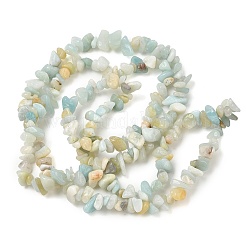 Fili di perline di amazonite di fiori naturali&nbsp;X-G-M205-12B
