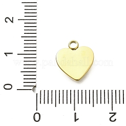 Pendentifs en acier inoxydable 304&nbsp;STAS-Q337-08G