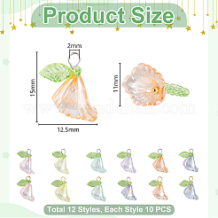 120pcs pendentifs acryliques transparents&nbsp;PALLOY-GA00026