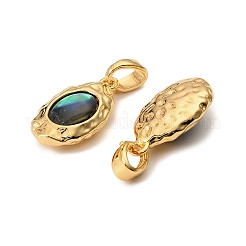 Ovale Anhänger aus natürlicher Paua-Muschel&nbsp;KK-G538-26G