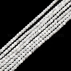 Natürlichen weißen Muschelperlen&nbsp;X-G-N0190-11-2mm