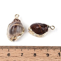 Galvanisierte Anhänger aus natürlichen Muscheln&nbsp;SSHEL-T017-44