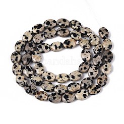 Natur Dalmatiner Jaspis Perlen Stränge&nbsp;G-T142-20