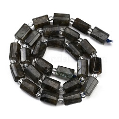 Chapelets de perles en labradorite naturelle &nbsp;G-G162-D13-01