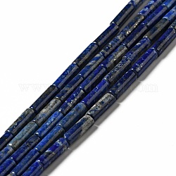 Natural Lapis Lazuli Beads Strands, Column, 13.5~14x4mm, Hole: 1.4mm, about 29pcs/strand, 15.63''(39.7cm)