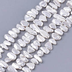 Chapelets de perles en coquille électrolytique, puce, blanc crème, 6~13x10~36x3~7mm, Trou: 1mm, Environ 38~42 pcs/chapelet, 13.7 pouce