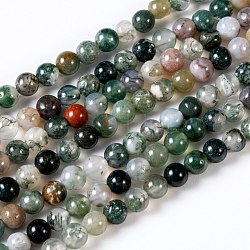 Natural Indian Agate Gemstone Bead Strands, Round, 8mm, Hole: 1mm, about 48pcs/strand, 14.9 inch