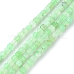 Hebras naturales de perlas de crisoprasa, facetados, cubo, 2~2.5x2~2.5x2~2.5mm, agujero: 0.6 mm, aproximamente 171 pcs / cadena, 15.35 pulgada (39 cm)