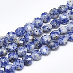 Perles de jaspe tache bleue naturelle, facette, plat rond, 8~8.5x4.5~5mm, Trou: 1mm, Environ 25 pcs/chapelet, 7.8 pouce