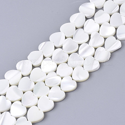 Natural Trochid Shell/Trochus Shell Bead Strands, Heart, 8x8x2.5mm, Hole: 0.7mm, about 51pcs/strand, 15.75 inch(40cm)