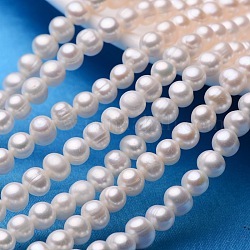 Hebras de perlas de perlas de agua dulce cultivadas naturales de papa, color de concha, 7~8mm, agujero: 0.8 mm, aproximamente 53~58 pcs / cadena, 13.5 pulgada ~ 14.9 pulgadas