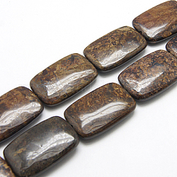 Natur Bronzit Perlen Stränge, Rechteck, 30x20x7 mm, Bohrung: 1 mm, ca. 13 Stk. / Strang, 15.5 Zoll